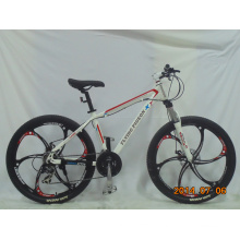 Magnesium Alloy One Piece Wheel Mountain Bicycle (FP-MTB-A073)